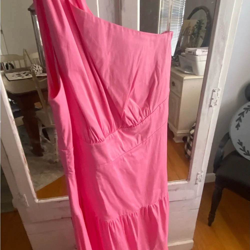 Lilly Pulitzer Vibrant Pink Dress - Picture 4 of 4